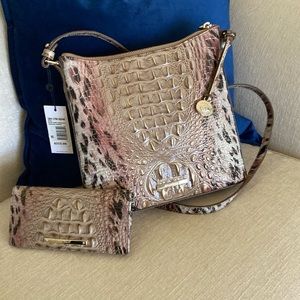 Brahmin Katie